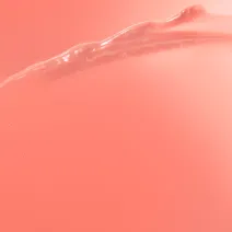 Alleyoop Makeup - Sheer Coral Cheer Lip Goals Glossy Lip Balm/ Gifts / SPA