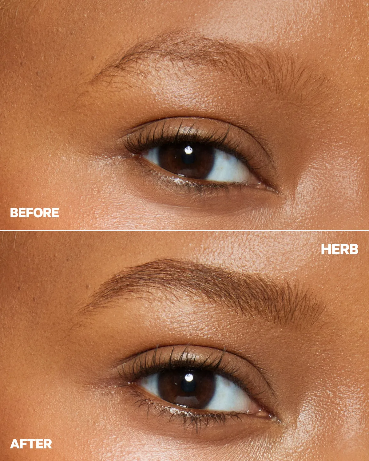KUSH High Roll Defining   Volumizing Brow Tint